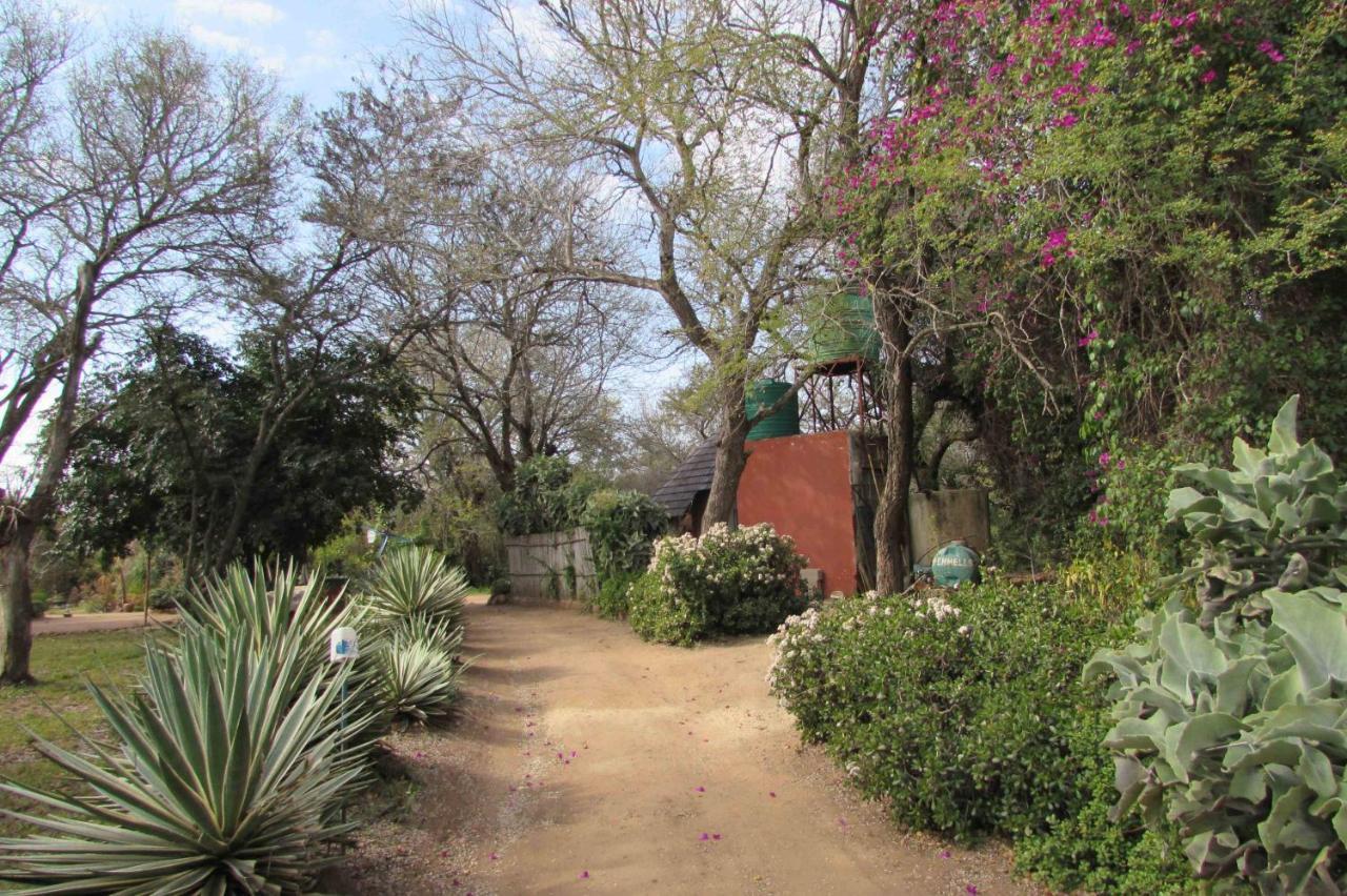 Amanzimlotzi Riverside Bush Camp Hotel Hoedspruit Exterior photo