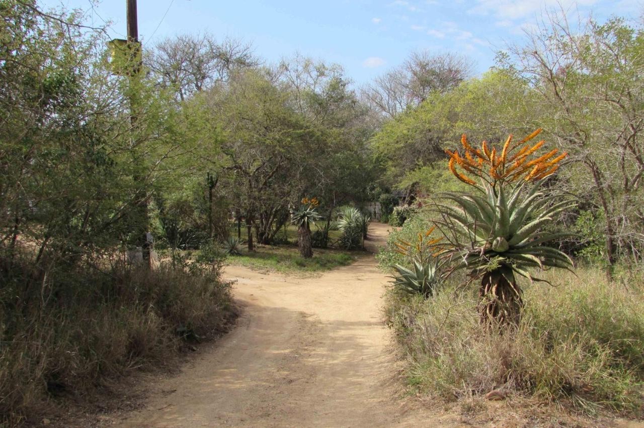 Amanzimlotzi Riverside Bush Camp Hoedspruit Exterior photo