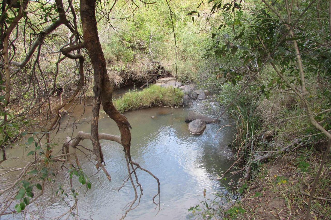 Amanzimlotzi Riverside Bush Camp Hoedspruit Exterior photo