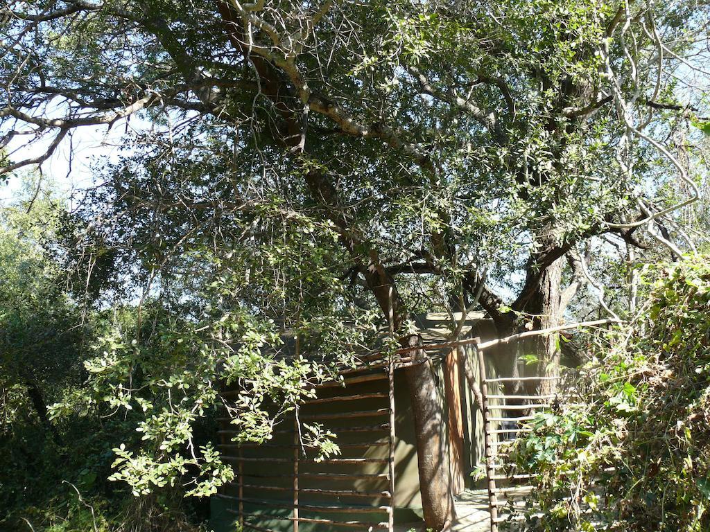 Amanzimlotzi Riverside Bush Camp Hoedspruit Room photo