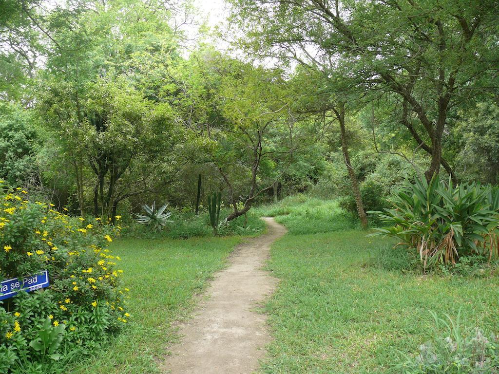 Amanzimlotzi Riverside Bush Camp Hotel Hoedspruit Room photo