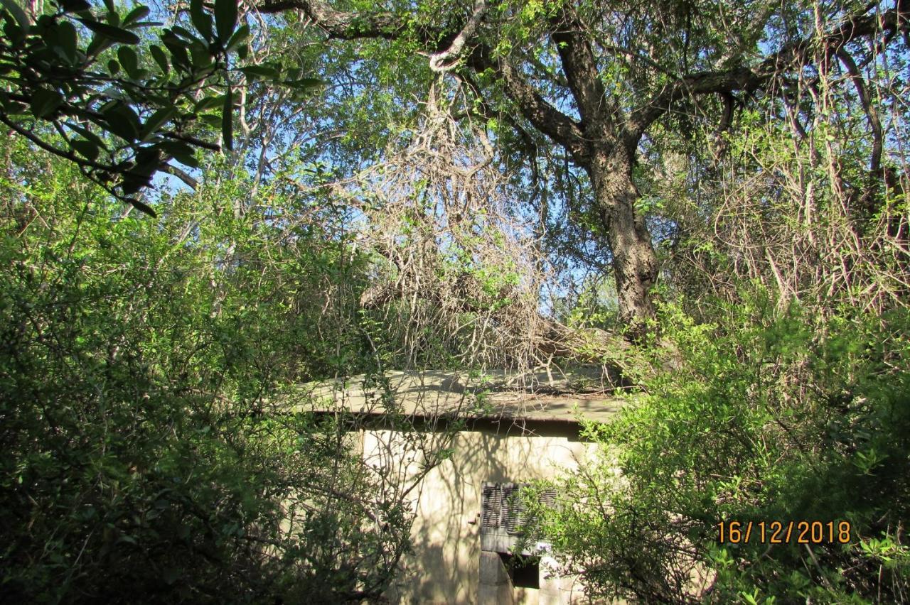 Amanzimlotzi Riverside Bush Camp Hotel Hoedspruit Exterior photo